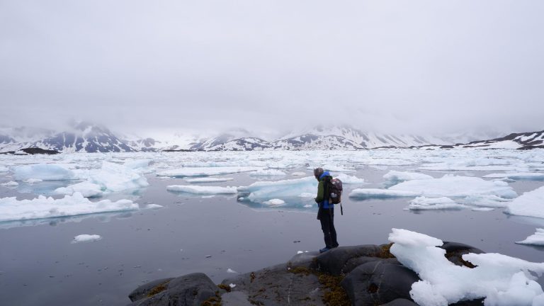 the greenland project, immagini della residenza