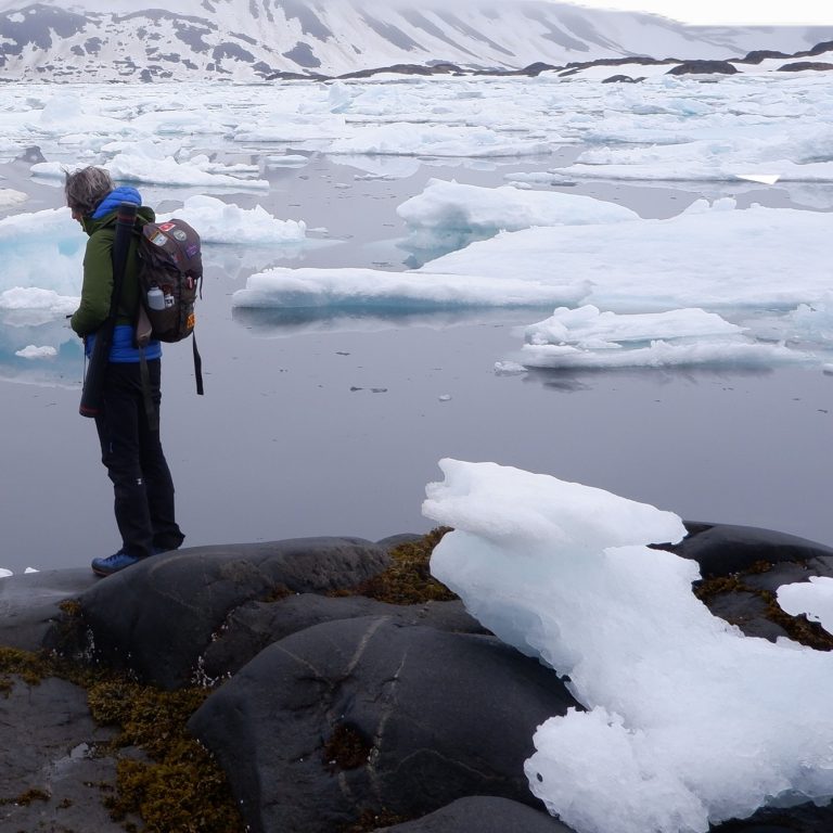 Greenland Blurring 8