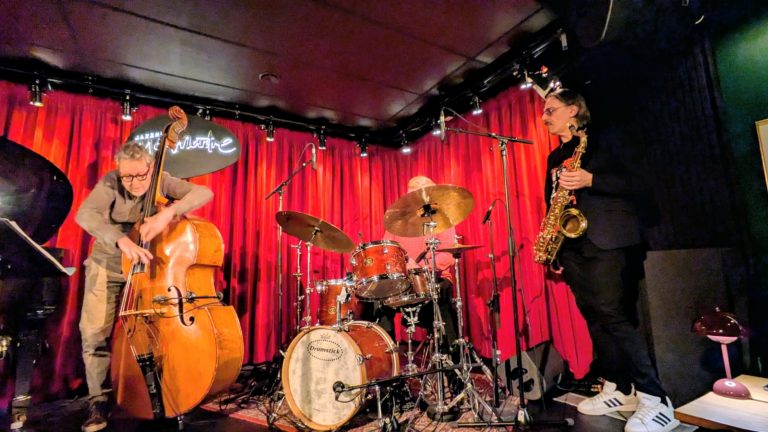 Max Ionata in concert