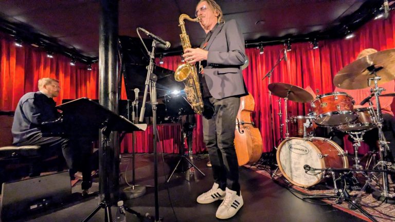 Max Ionata in concert